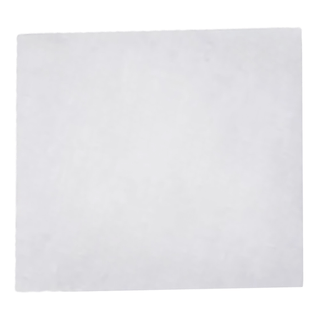 FILTER, AIR F/DCA VANTAGE RAPID POINT 400 SERIES ANLYZ (2/PK | Quantity - 1x PK