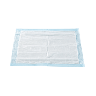 UNDERPAD, LIGHT ABSRB 17X24" (300/CS) | Quantity - 1x CS