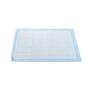 UNDERPAD, LIGHT ABSRB FLUFF 23"X36" (15/BG10BG/CS) | Quantity - 1x CS