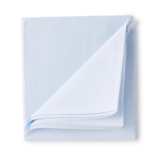 SHEET, STRETCHER T/P BLU 40X90(50/CS) | Quantity - 1x CS