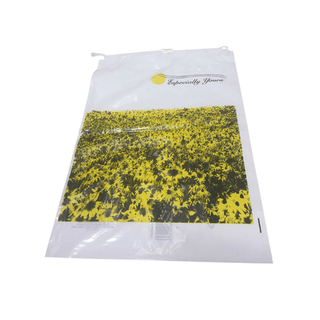 DUKAL DAWNMIST PATIENT BELONGINGS BAGS - Patient Belongings Bag, Drawstring, Clear, 20" x 20", 250/cs | Quantity - 1x CS