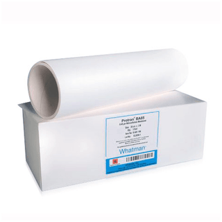 CYTIVA BLOTTING MEMBRANES - Membrane Roll, 20cm x 3m (200mm x 3m), Nytran SuPerCharge (SPC), 0.45m Pore Size, 1/pk | Quantity - 1x PK