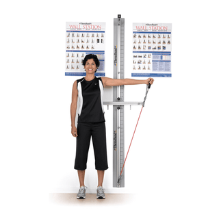 PERFORMANCE HEALTH THERABAND REHAB WELLNESS EXERCISE & WALL STATIONS - Wall Station (020508) (081413145)  (Part Number Change COMING SOON) | Quantity - 1x EA