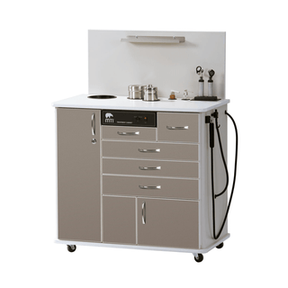 MTI ENT CABINET - TC100BS ENT Cabinet, Stand-up, Standard Configuration 1, Laminate-Shadow, Trim-White (DROP SHIP ONLY) (Continetal US & Canada) | Quantity - 1x EA