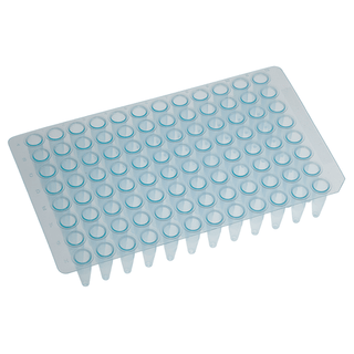 SIMPORT AMPLATE 96 - WELL THIN-WALLED PCR PLATES - 96 Thin Walled PCR Plate, 0.2mL, Pink, 10/bg, 10 bg/cs | Quantity - 1x CS