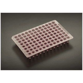SIMPORT AMPLATE 96 - WELL THIN-WALLED PCR PLATES - 96 Thin Walled PCR Plate, 0.2mL, Pink, 10/bg, 10 bg/cs | Quantity - 1x CS