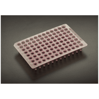 SIMPORT AMPLATE 96 - WELL THIN-WALLED PCR PLATES - 96 Thin Walled PCR Plate, 0.2mL, Pink, 10/bg, 10 bg/cs | Quantity - 1x CS